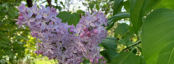 Stimmungsbild-Tarik Rahel-Araya-1